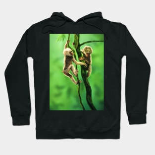 Stump Tail Macaque Babies Hoodie